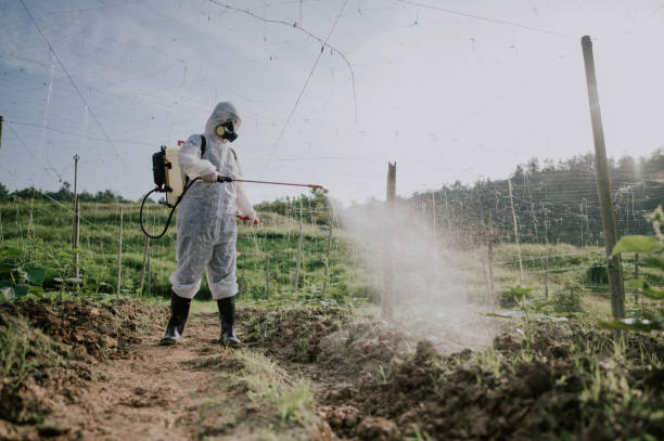 Best Pest Prevention Services  in Othello, WA