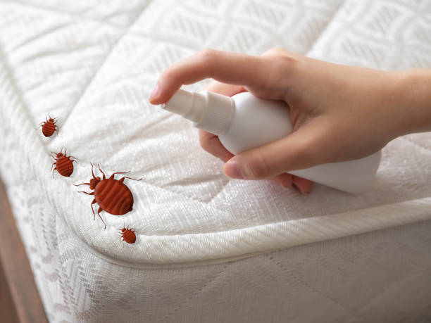 Pest Control Cost in Othello, WA